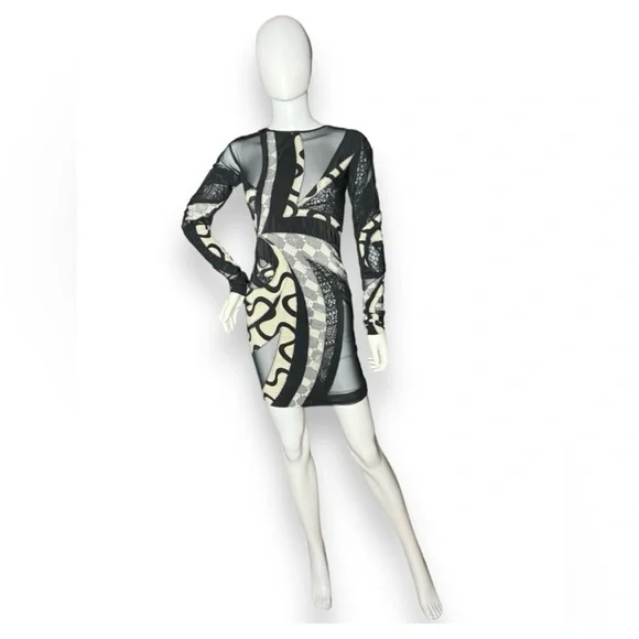 🔥Emilio Pucci 2009 Runway Look 19 Silk & Mesh Abstract Dress - Picture 12 of 12